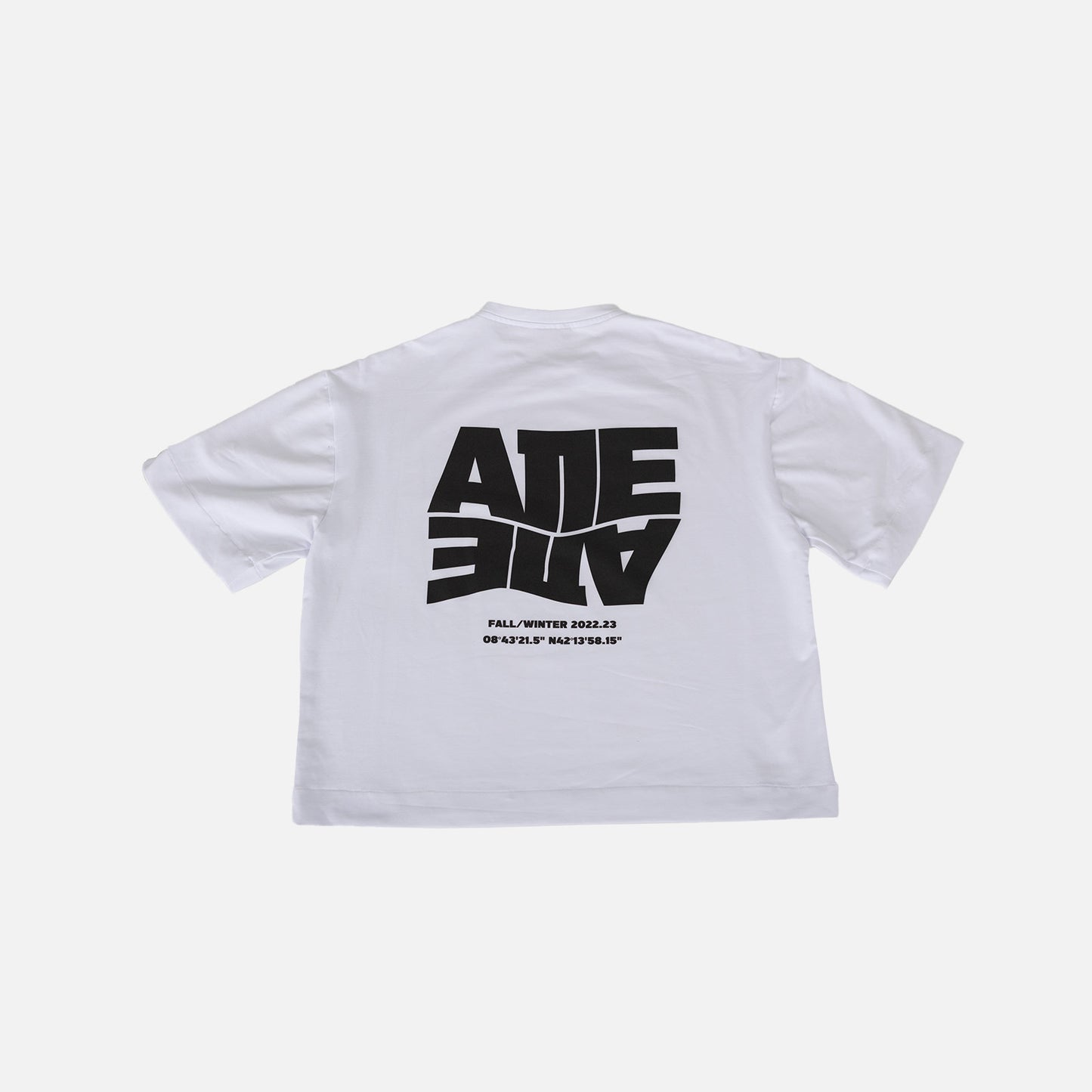 OVERSIZE CROPPED GRAPHIC T-SHIRT